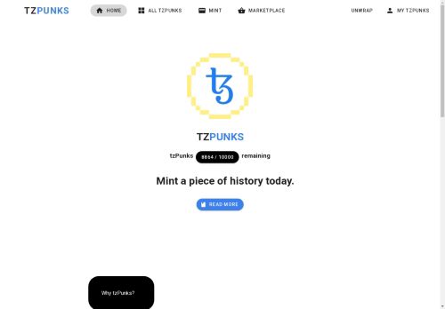 tzPunks capture - 2025-04-15 01:48:29