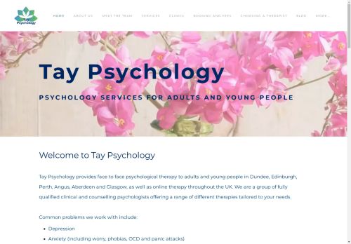 Tay Psychology capture - 2025-04-15 04:48:31