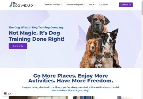 The Dog Wizard DC capture - 2025-04-15 04:49:31