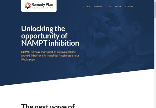 Remedy Plan capture - 2025-04-15 05:06:51