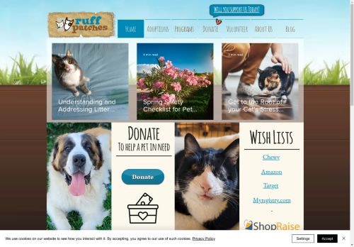 Ruff Patches capture - 2025-04-15 06:05:21