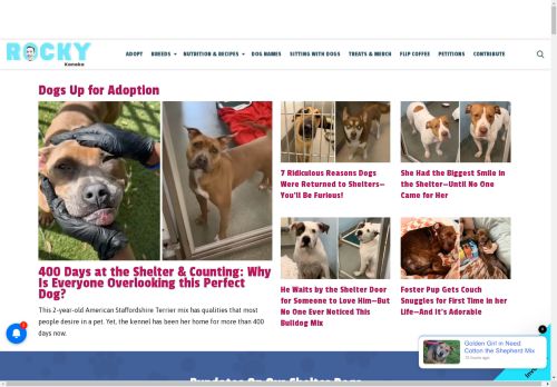 Rocky Kanaka capture - 2025-04-15 06:05:21