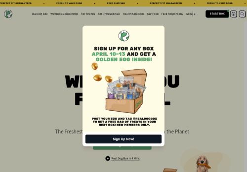 Real Dog capture - 2025-04-15 06:37:39