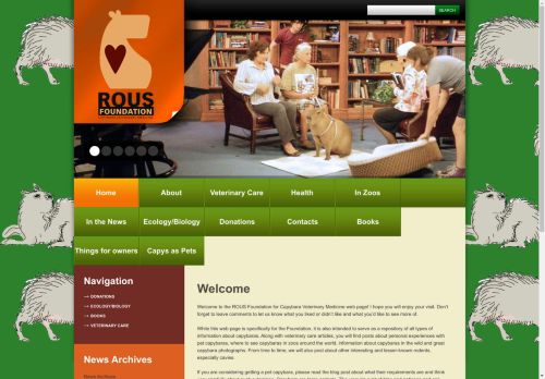 ROUS Foundation capture - 2025-04-15 07:07:02