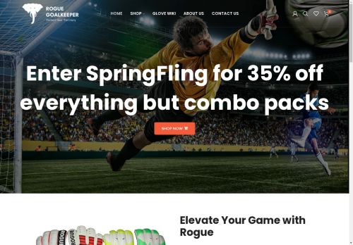 Rogue Goalkeeper Equipment capture - 2025-04-15 07:20:43