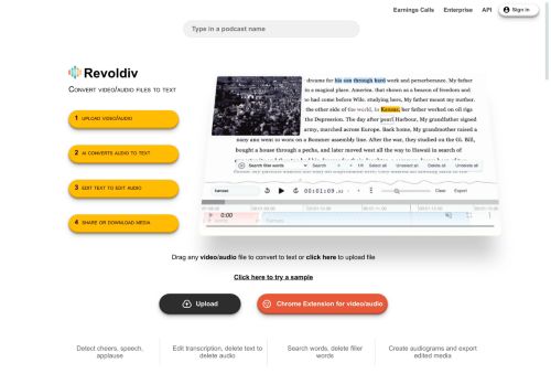 Revoldiv capture - 2025-04-15 08:41:36