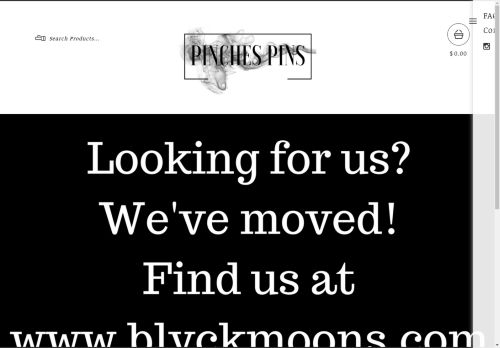 Pinches Pins capture - 2025-04-15 11:52:02