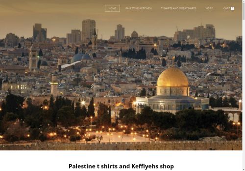 Palestine shop capture - 2025-04-15 12:28:51