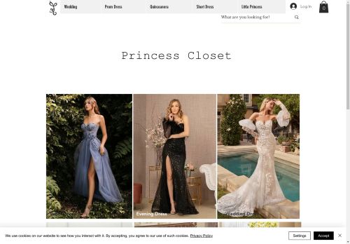 Princess Closet capture - 2025-04-15 12:56:31