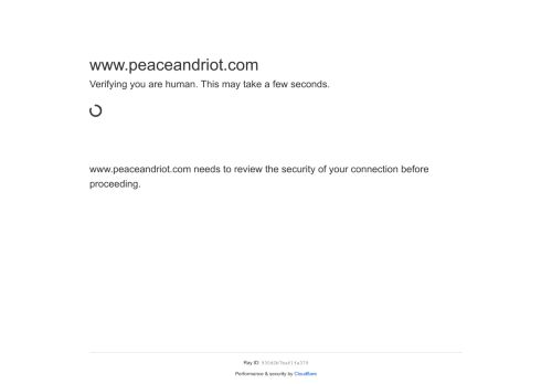 Peace & Riot capture - 2025-04-15 13:31:45