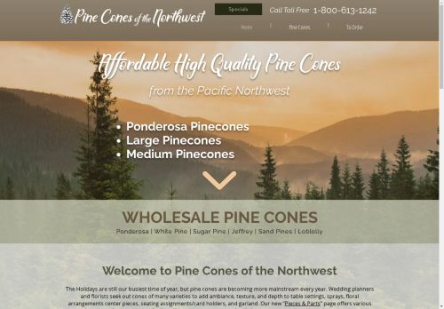 Pine Cones of the Northwest capture - 2025-04-15 13:59:05