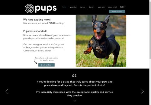 Pups capture - 2025-04-15 14:59:04