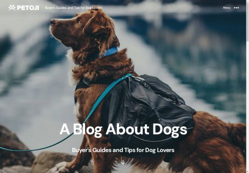 Petoji capture - 2025-04-15 15:06:42