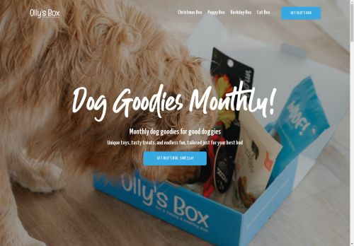 Olly's Box capture - 2025-04-15 16:17:00