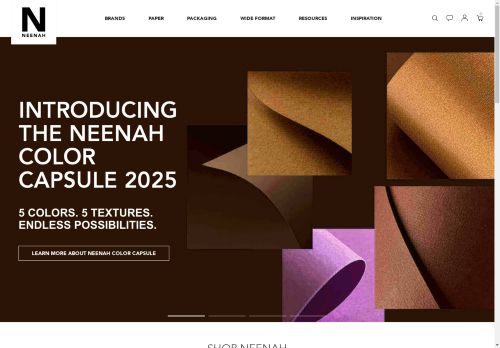 Neenah capture - 2025-04-15 19:23:17