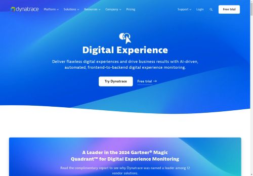 NetMechanic capture - 2025-04-15 20:02:26