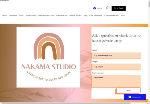 Nakama Studio capture - 2025-04-15 20:13:57