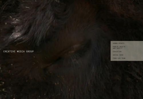 Luceo Images capture - 2025-04-15 20:50:11