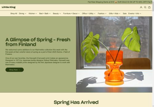 Little King capture - 2025-04-15 21:04:50