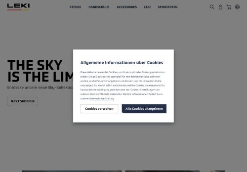 Leki capture - 2025-04-16 00:23:27