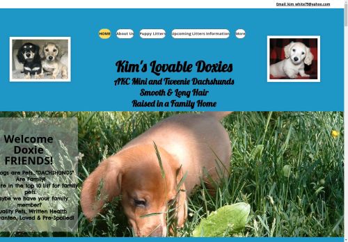 Kim's Lovable Doxies capture - 2025-04-16 00:55:13