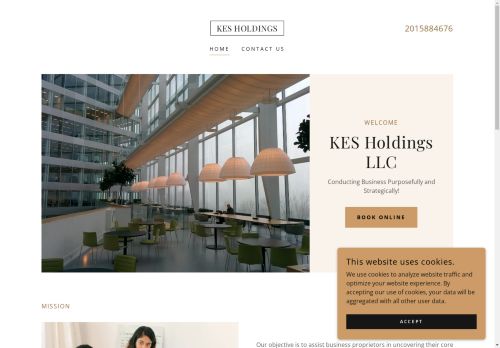 KES Holdings capture - 2025-04-16 01:22:49