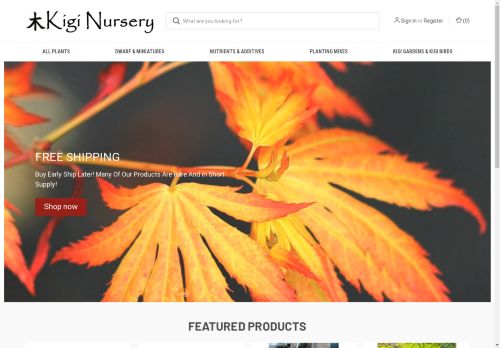 Kigi Nursery capture - 2025-04-16 02:00:01