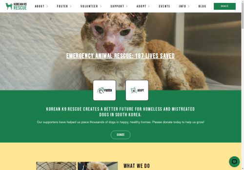 Korean K9 Rescue capture - 2025-04-16 02:07:30