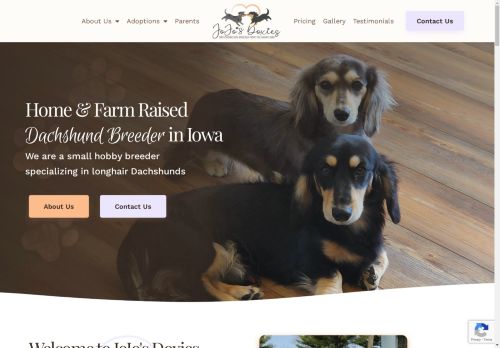 Jojo’s Doxies capture - 2025-04-16 03:30:37