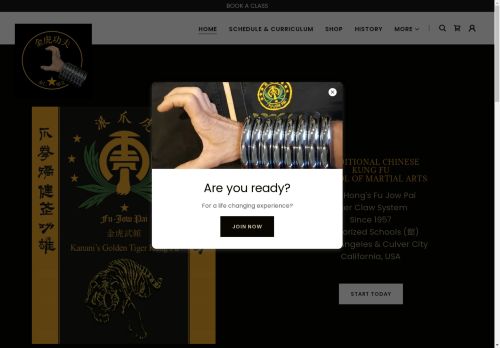 Golden Tiger Kung Fu capture - 2025-04-16 04:30:14