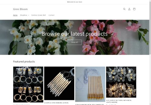 Ginni Bloom capture - 2025-04-16 05:14:39