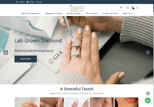 GEMVER capture - 2025-04-16 06:36:05