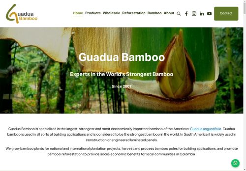 Guadua Bamboo capture - 2025-04-16 06:47:24