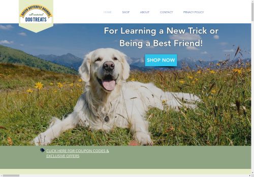 Green Butterfly Brands capture - 2025-04-16 07:26:23