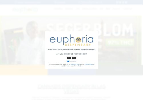 Euphoria Wellness capture - 2025-04-16 08:55:46