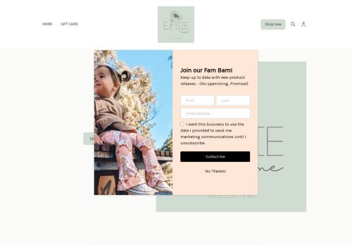 Elsie + Me Boutique capture - 2025-04-16 11:24:06