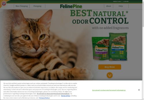 Feline Pine capture - 2025-04-16 15:25:22