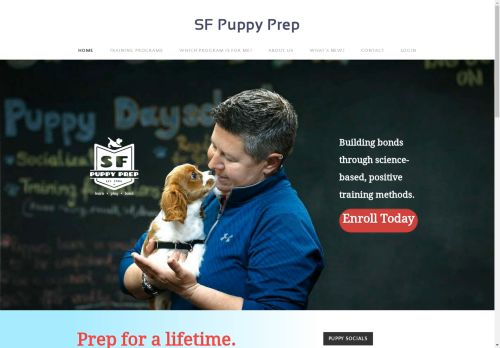 SF Puppy Prep capture - 2025-04-16 16:14:11