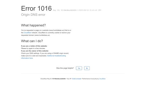 Humble Bee capture - 2025-04-16 17:23:31