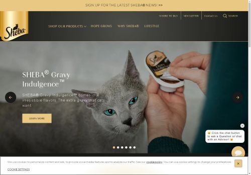 Sheba capture - 2025-04-16 18:54:29