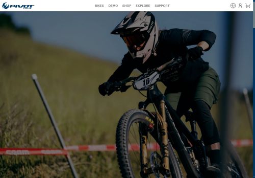 Pivot Cycles capture - 2025-04-16 19:11:34