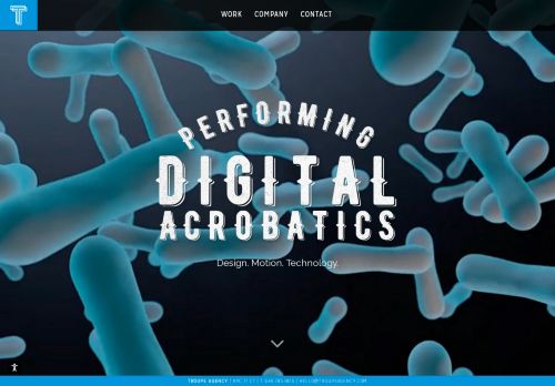 Sigerson Morrison capture - 2025-04-16 19:40:17