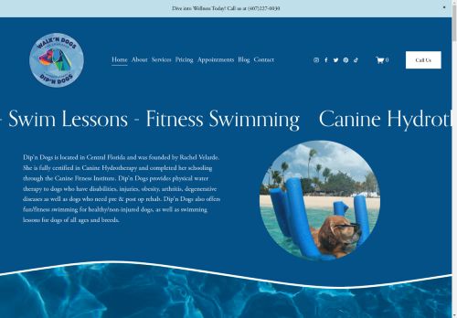 Dip’n Dogs capture - 2025-04-16 19:51:22