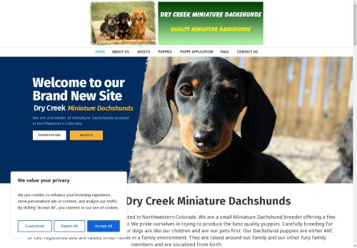 Dry Creek Miniature Dachshunds capture - 2025-04-16 19:51:22