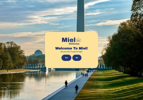 DC Dash capture - 2025-04-16 20:02:35