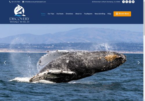 Discovery Whale Watch capture - 2025-04-16 20:33:51