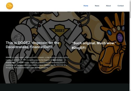 DOGE2 capture - 2025-04-16 20:43:12