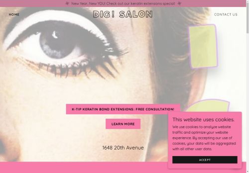 DIG Salon capture - 2025-04-16 20:44:14