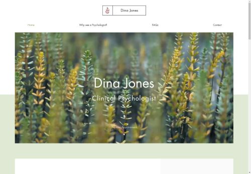 Dina Jones capture - 2025-04-16 21:16:08