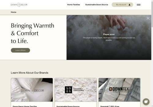 Down Decor capture - 2025-04-16 21:58:01